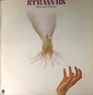 Strawbs ‎– Hero And Heroine (made in USA)