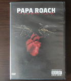 DVD Papa Roach - Live & Murderous In Chicago