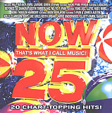 FALL OUT BOY, AVRIL LAVIGNE, BEYONCÉ AND SHAKIRA, etc. CD «Now That's What I Call Music! 25» ℗2007