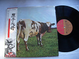 Pink Floyd ( Japan )