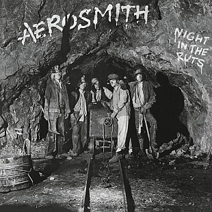 Вінілова платівка Aerosmith - Night In The Ruts [LP]