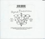 Björk – Vespertine ( USA )