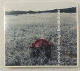 CD MELISSA ETHERIDGE 1999 Breakdown (USA)