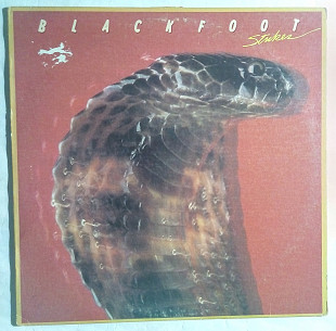 Blackfoot 79 Strikes USA Vinyl Nm-