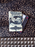 Faeces Sex / Urinary Tract Infection From Severe Pus Clots - split (cs, 2010)