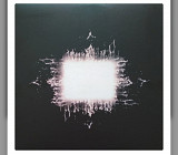 Tool "Ænima" 2LP