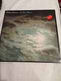 Peter Green/in the skies/1979