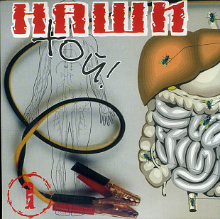 Наши Хой! часть 1 @