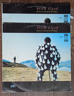 Pink Floyd - "Delicate Sound of Thunder" 2LP