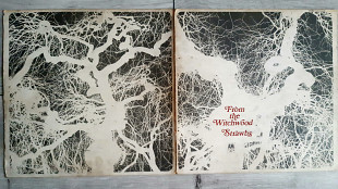 STRAWBS ( PROG ROCK with Rick Wakeman ) FROM THE WITCHWOOD ( A&M AMLH 64304 A1/B1 ) G/F 1971 ENGL