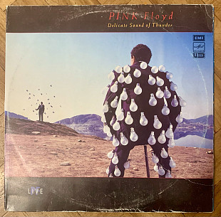 Pink Floyd Delicate Sound Of Thunder