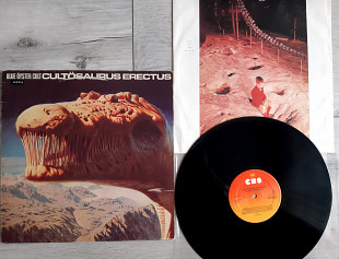 BLUE OYSTER CULT CULTUSAURUS ERECTUS ( CBS 86120 A1/B1 ) 1980 HOLL