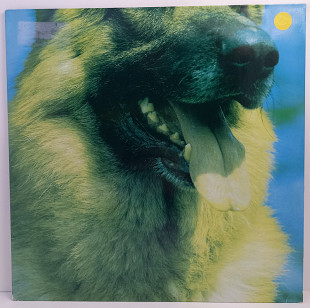 Dear Wolf – Dear Wolf LP 12" (Прайс 47989)