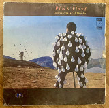 Pink Floyd Delicate Sound Of Thunder