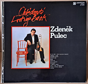 Zdeněk Pulec – Ohlédnutí (Looking Back)