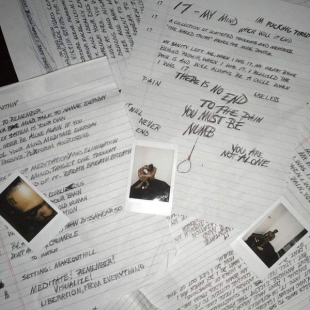 Вінілова платівка Xxxtentacion - 17 1LP (888915663776)