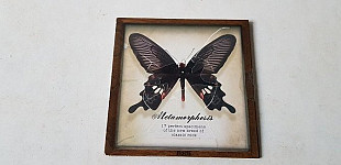Magic Trash/Under The Sun/White Dynomite... CD фірмовий