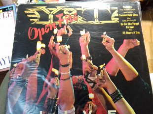 Y & T.live & studio p1986 A & M usa /jugoton ex+