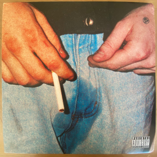 Вінілова платівка Tyler, The Creator – Cherry Bomb 2LP (196588243318)