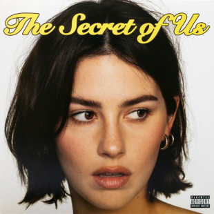 Вінілова платівка Gracie Abrams – The Secret Of Us 1LP (602465280951)