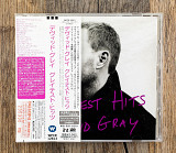 David Gray - Greatest Hits (Японія)