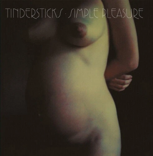CD диск Tindersticks - Simple Pleasure + Bonus 2CD (600753527443)