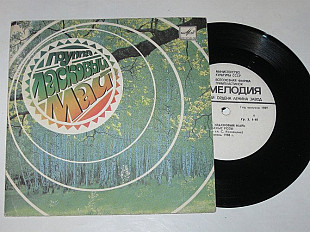 Пластинка Юрий Шатунов и группа ''Ласковый май'' - БЕЛЫЕ РОЗЫ * СЕДАЯ НОЧЬ / музыка Кузнецова (1989)