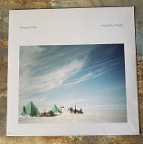 Penguin Cafe – Handfuls Of Night