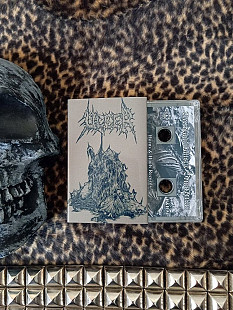 Ulcer / Necrocannibalistic Vomitorium - split (cs, 2020)