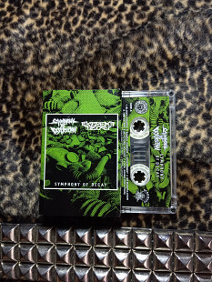 Symphony Of Destruction / Extreme Decay - split (cs)
