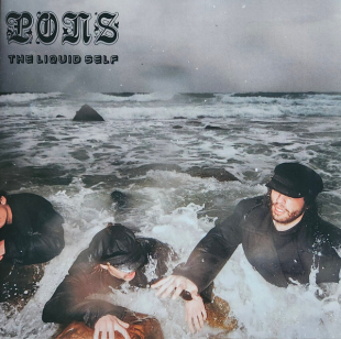 Аудіокасета Pons - Liquid Self (634457139602)