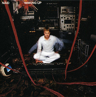 Naid – Waking Up ( USA ) The Cardigans