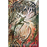 Sarcasm ‎– Burial Dimensions (MC, Germany)