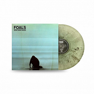 Вінілова платівка Foals – What Went Down