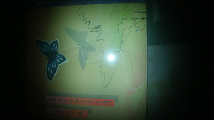 Mint Heart ‎– Dog & Butterfly