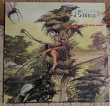 Virgin Steele ‎– Guardians Of The Flame