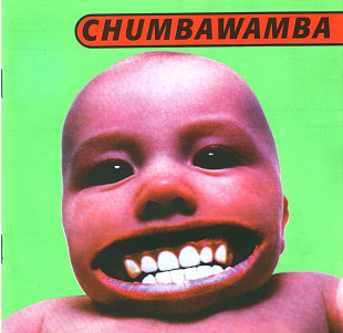 Chumbawamba – Tubthumper ( USA )