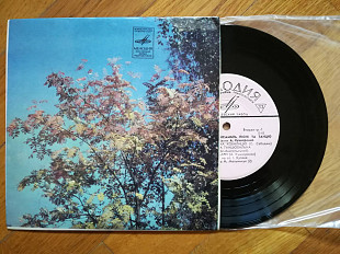 Буковинський ансамбль пісні та танцю (лам. техн. конв.)-Ex.+, 7"-Мелодія