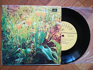 Карпатська ніч-В. Андросов, Н. Матвиенко (лам. техн. конв.) (3)-NM, 7"-Мелодія