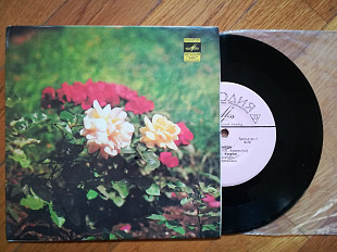 Валентина Купріна (лам. техн. конв.)-NM, 7"-Мелодія