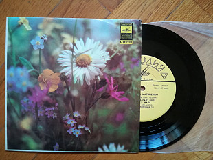 Поет Нина Матвиенко (лам. техн. конв.)-NM, 7"-Мелодія