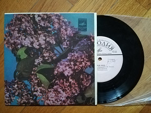 Земле моя (лам. техн. конв.)-Ex.-, 7"-Мелодія