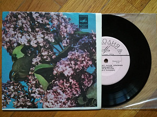 Співає бандурист Василь Куриленко на власні мелодії (лам. техн. конв.)-Ex.+, 7"-Мелодія