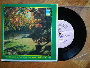 Фантазия на темы песен И. Шамо (лам. техн. конв.)-NM-, 7"-Мелодія