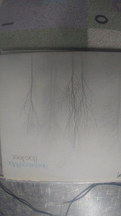 Mint Fleetwood Mac ‎– Bare Trees