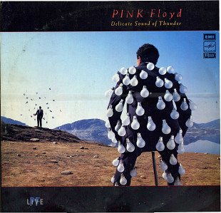 PINK FLOYD LIVE Delicate Sound of Thunder C60 00542_44_45_46 USSR_UK 1990 2LP