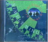 Simple Minds – «Street Fighting Years»