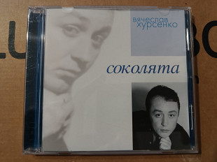 Вячеслав Хурсенко - Соколята