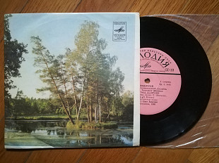 ВІА Водограй-Зоре моя вечірняя (лам. техн. конв.)-NM, 7"-Мелодія