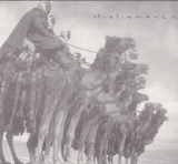 Muslimgauze – Chapter Of Purity